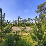 - Hotel, Termas & ホテル モンテ・レアル