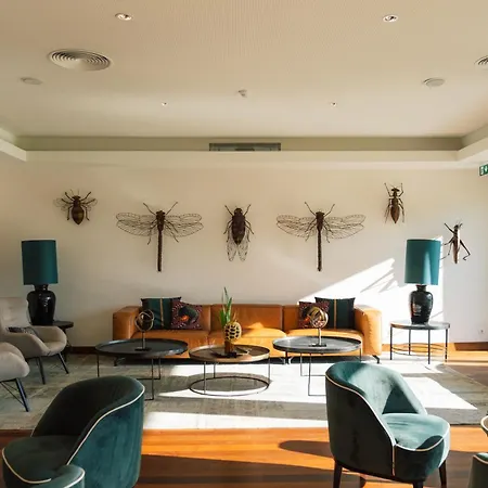 - Hotel, Termas & مونتي ريال