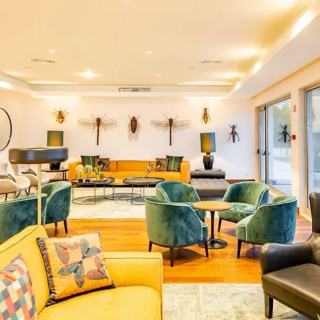 - Hotel, Termas & فندق مونتي ريال